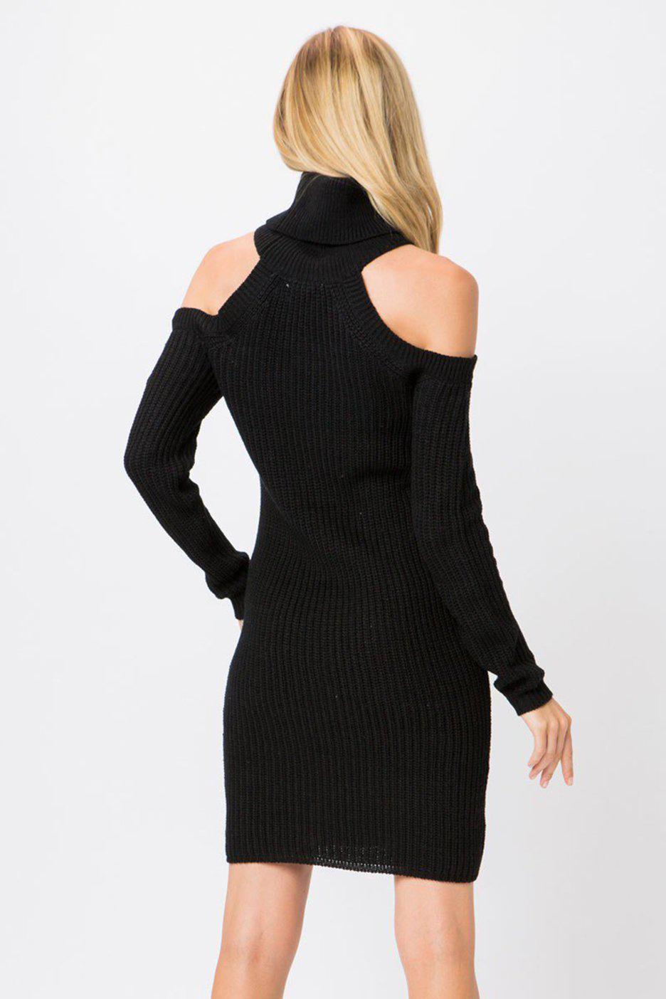 Black Ribbed Knit Turtleneck Long Sleeve Sweater Dress