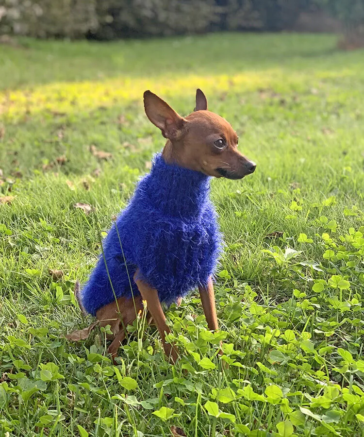 Dog knit sweater